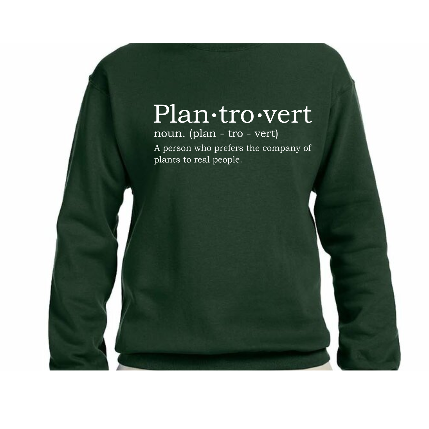 Plantrovert Definition Sweater