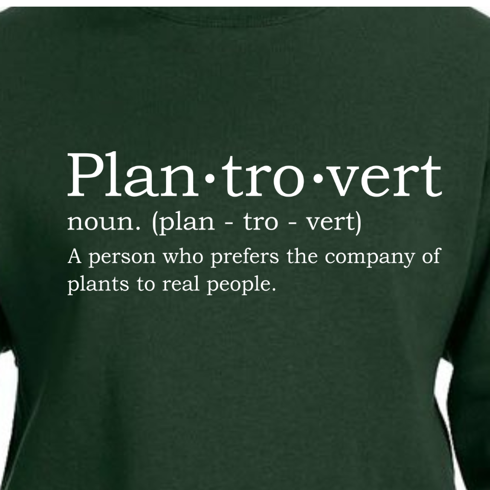 Plantrovert Definition Sweater