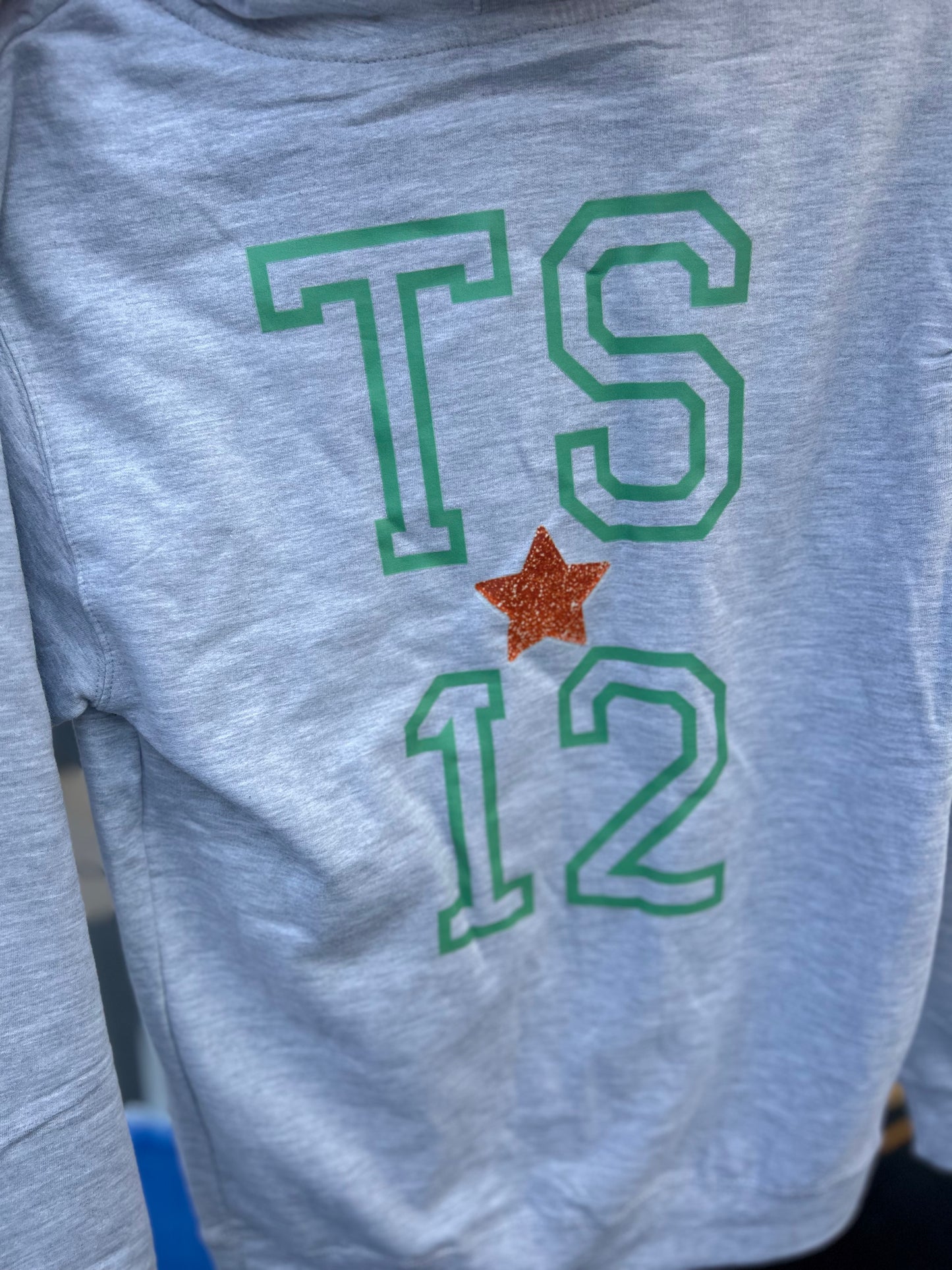 Adult TS12 Sweatshirt - Gray
